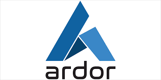 ارز دیجیتال اردور با نماد اختصاری ARDR نوعی ارز دیجیتال یا شکلی از دارایی دیجیتال هست